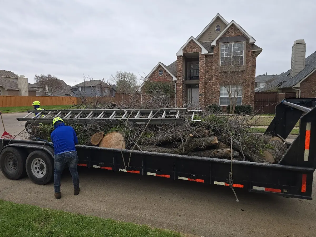 Expert Tree Fertilization with proper safety equipment in Dows